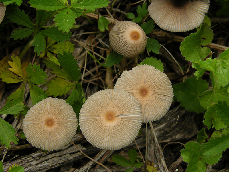 Ritrovamenti 14 maggio.